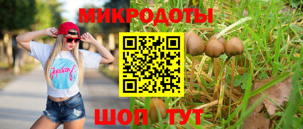 Галлюциногенные грибы Magic Shrooms Полысаево