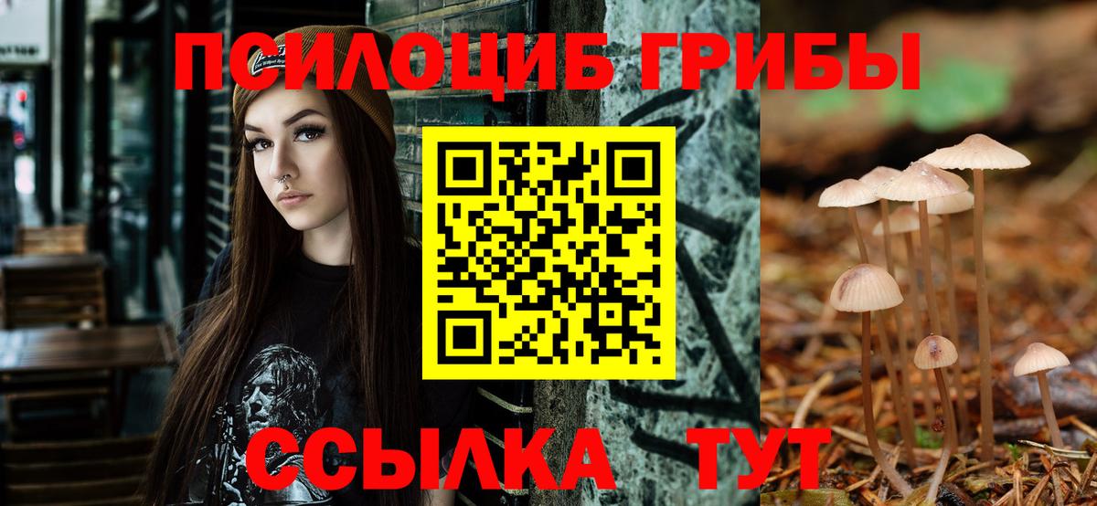 Полысаево  Псилоцибиновые грибы Psilocybine cubensis  Вход с VPN 